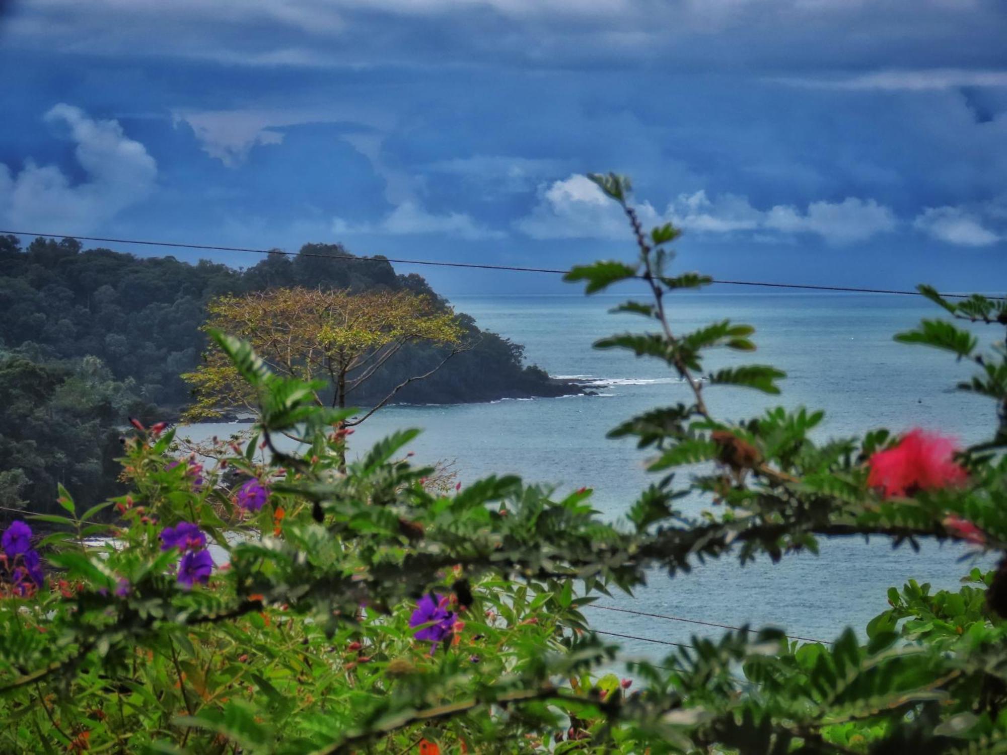 Bella Vista Corcovado Hotell Drakes Bay Exteriör bild