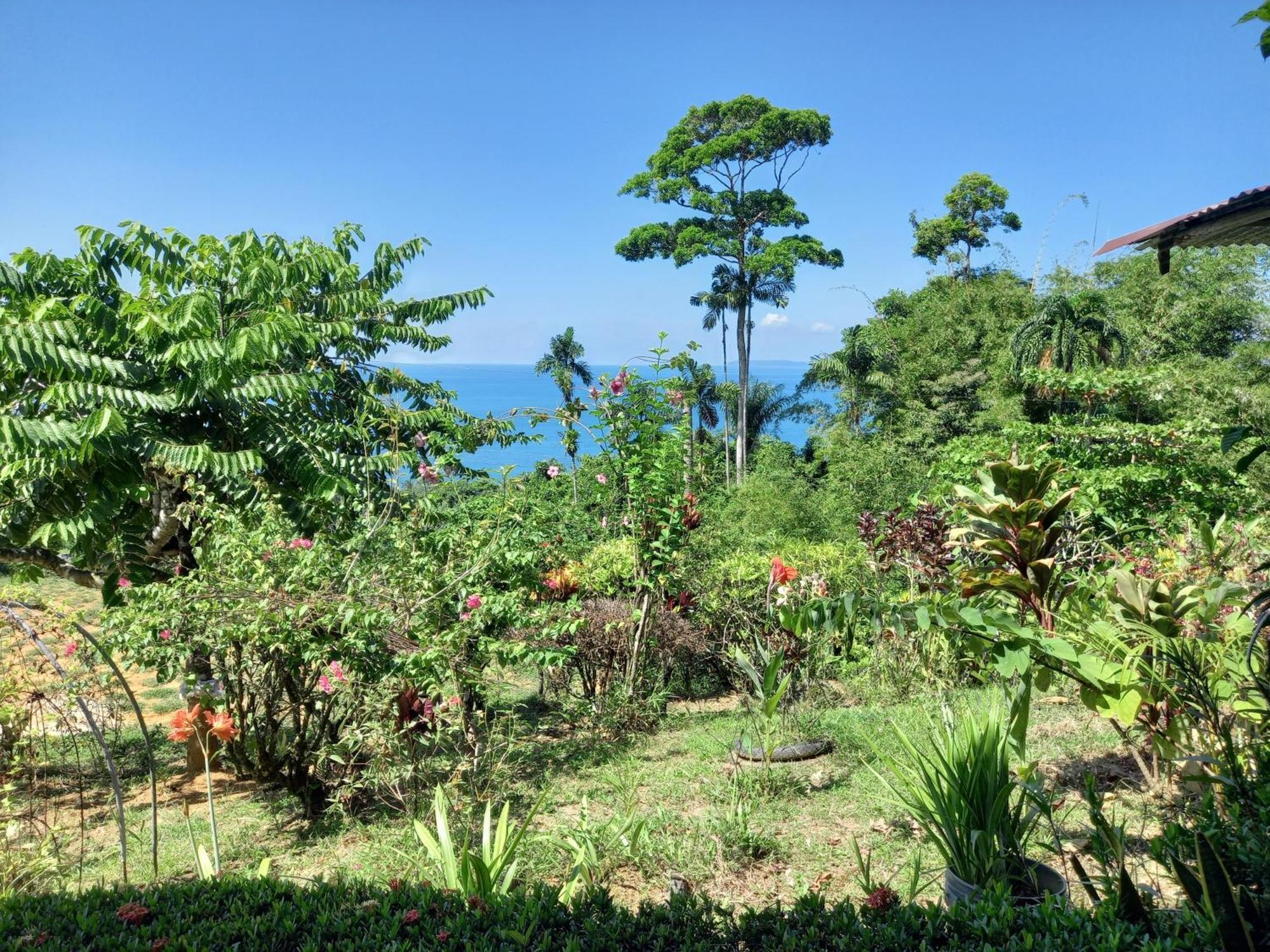 Bella Vista Corcovado Hotell Drakes Bay Rum bild